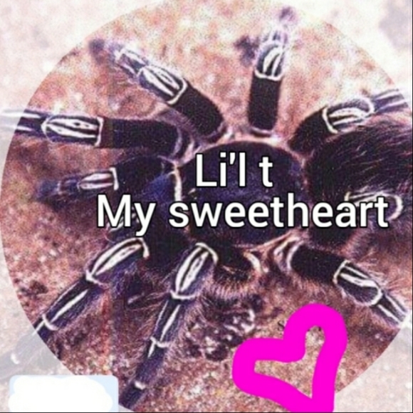 Meet your Posher, Antonietta1225d - Picture 6 of 7